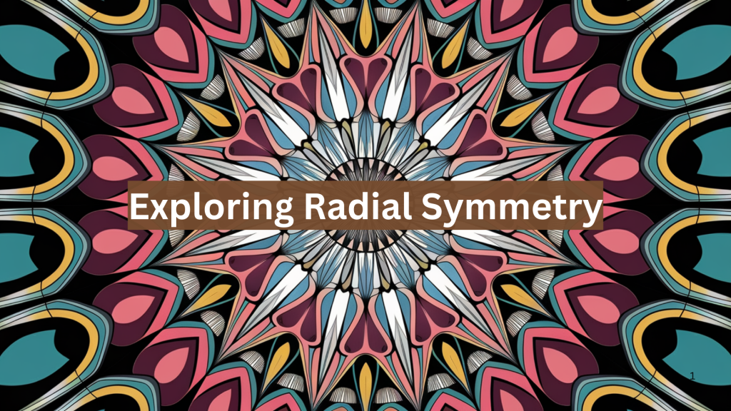 radial symmetry in art