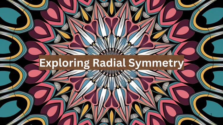 radial symmetry in art