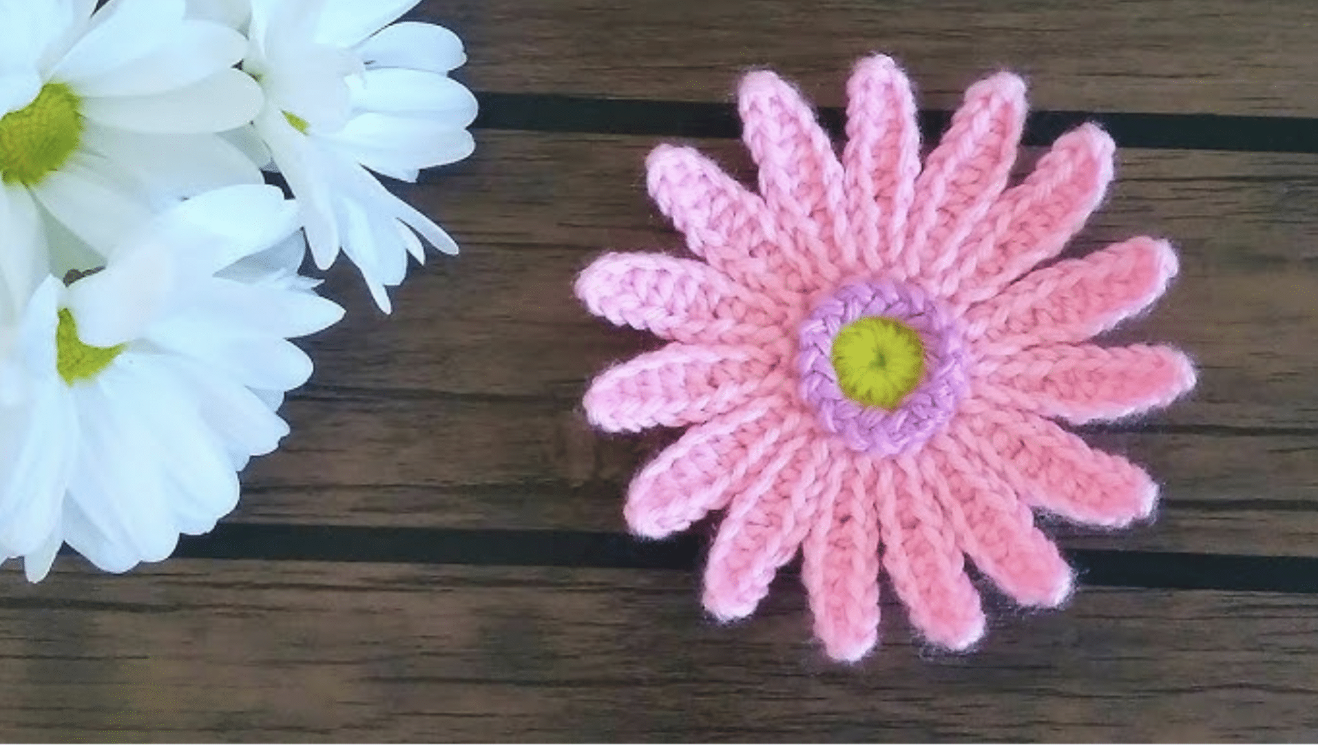 Bright Gerbera crochet knitted flower