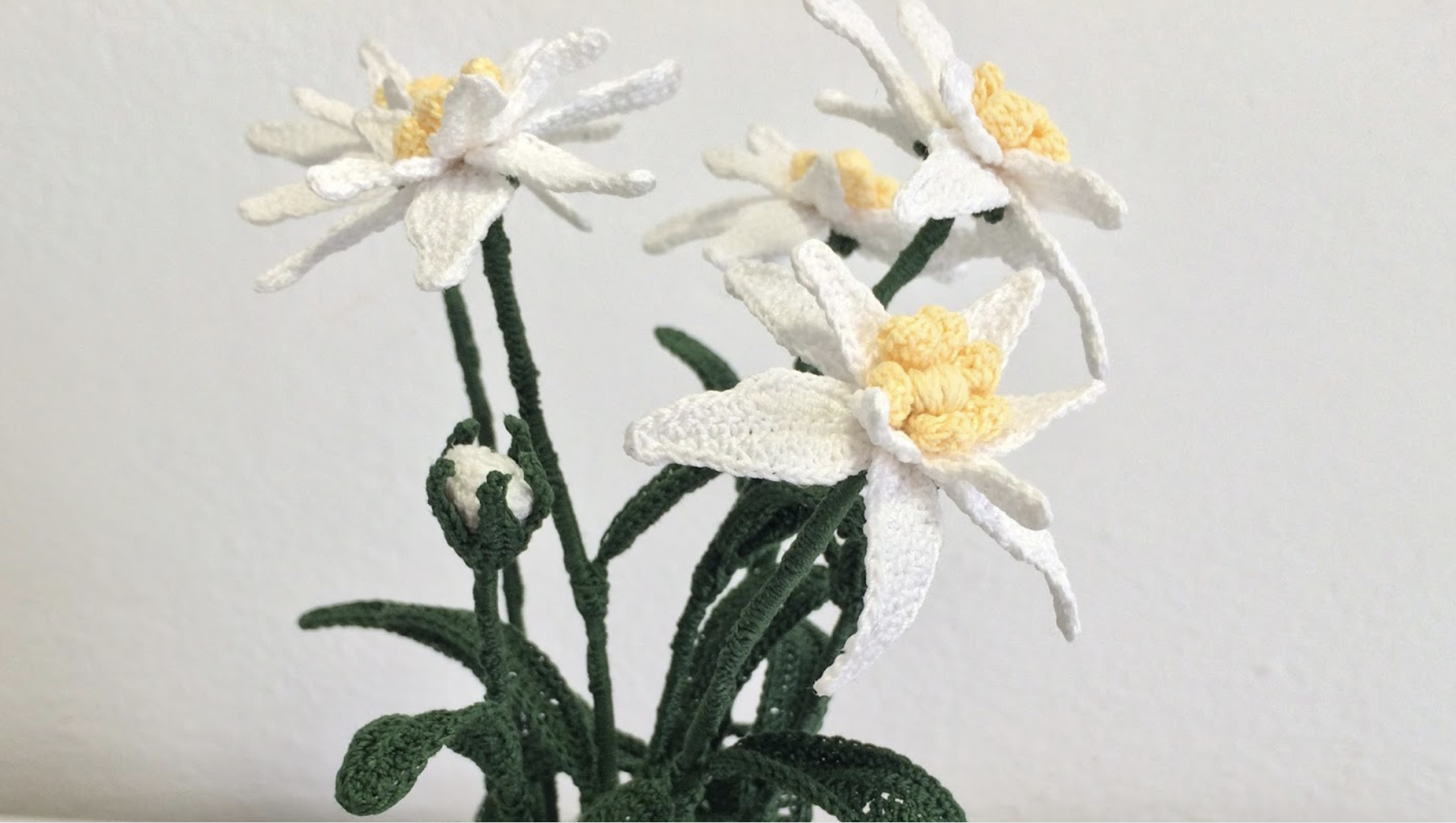 Starry Edelweiss crochet knitted flower