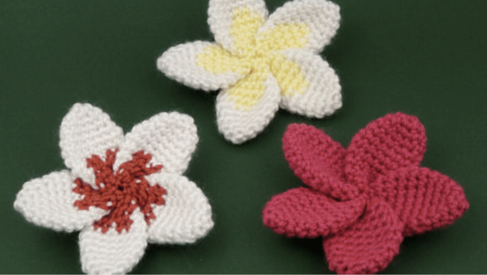 Tropical Plumeria crochet knitted flower