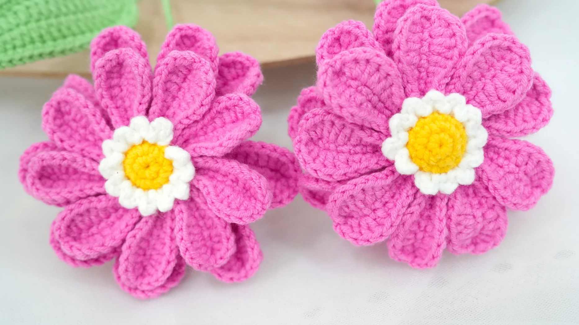 Vibrant Zinnia